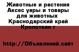 Животные и растения Аксесcуары и товары для животных. Краснодарский край,Кропоткин г.